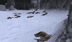 2005_11_05_22_36_17-2.JPG